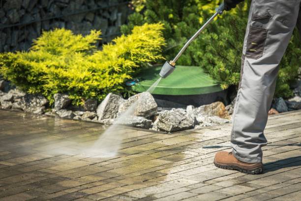 Best Rust Removal  in Southchase, FL